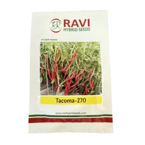 Ravi Tacoma
