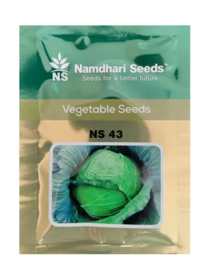 Cabbage NS