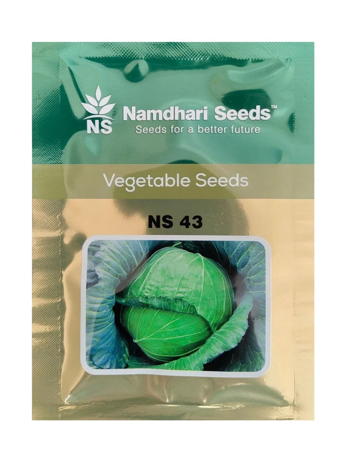 Cabbage NS