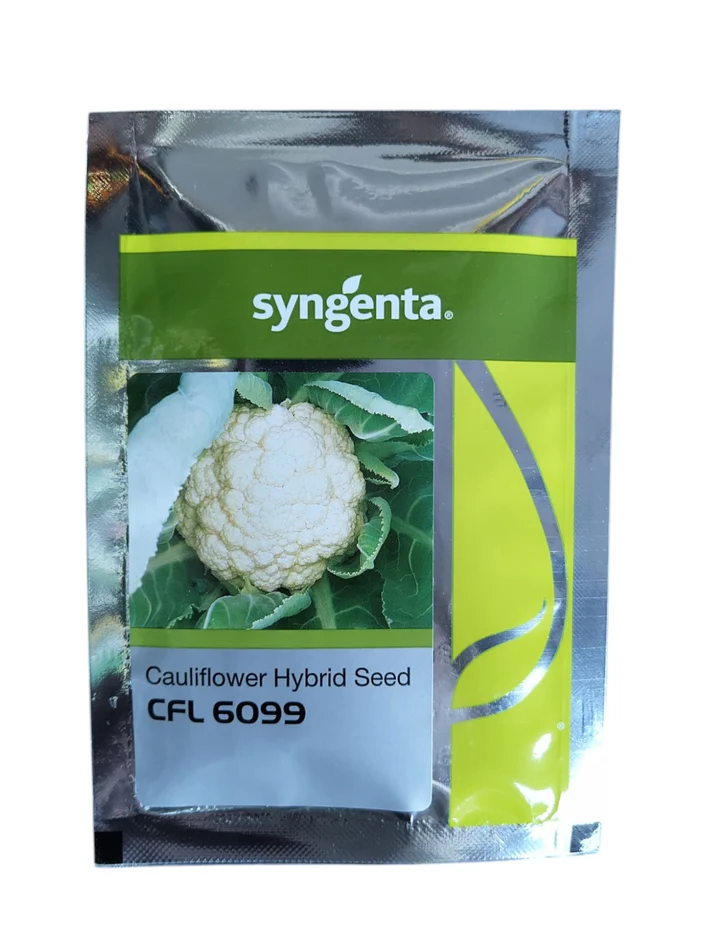 CFL 6099