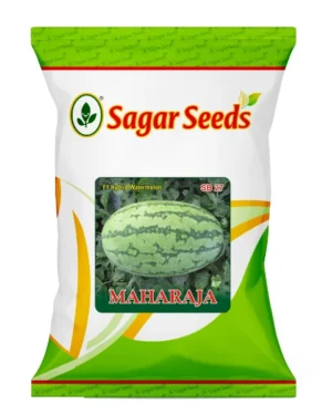 Sagar Maharaja