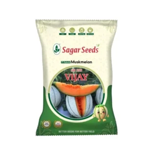 Sagar Seeds Vijay Muskmelon Seeds