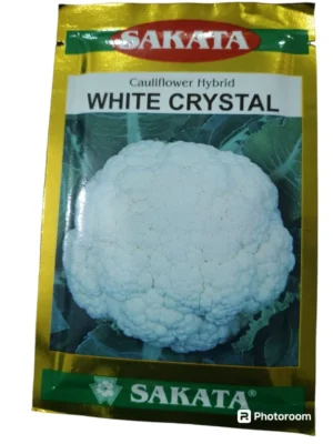 Sakata White Crystal
