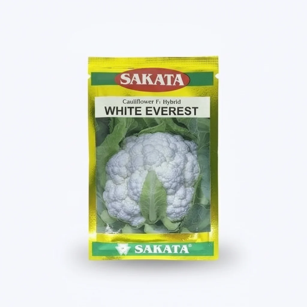 White Everest