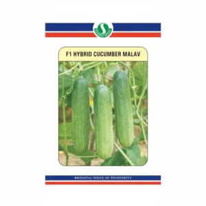 Sungro Malav