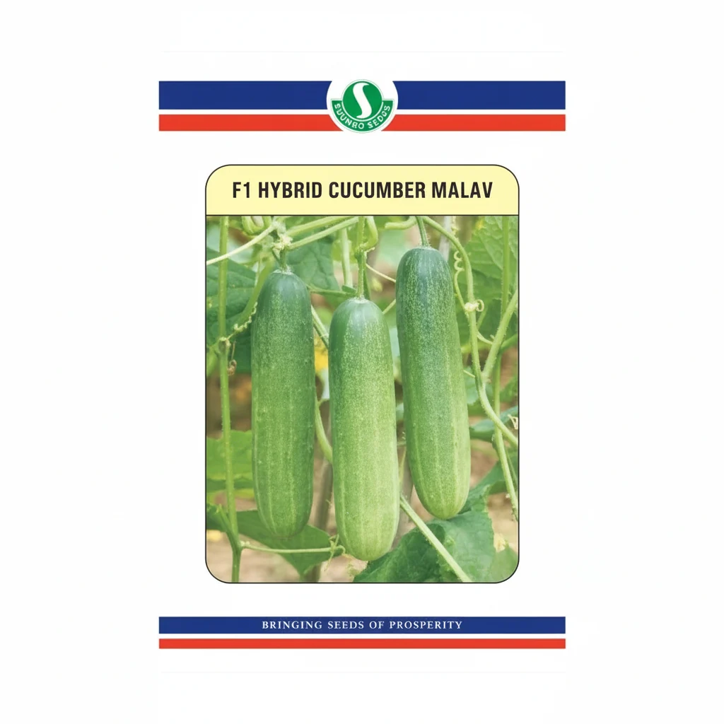 Sungro Malav