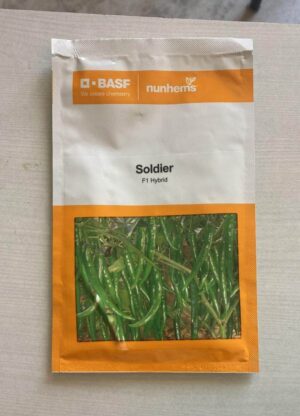 Soldier F1 Hybrid Chilli (1500seeds)