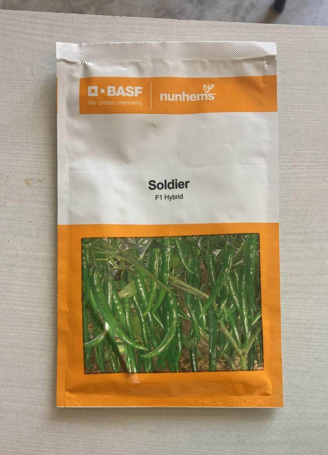 Soldier F1 Hybrid Chilli (1500seeds)