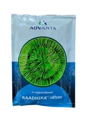 Raadhika F1 Hybrid Bhindi Seeds