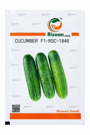 Rizwan RSC 1846 F1 Hybrid Cucumber Seeds – Premium Quality Seeds for Commercial Farming