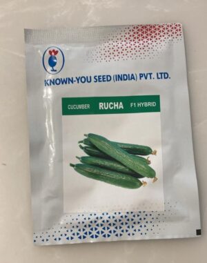 Known You Rucha F1 Hybrid Cucumber Seeds – High Yield Premium Green Kheera for Commercial Farming