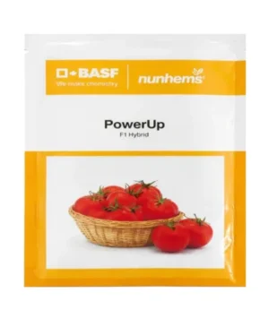 Nunhems Power up F1 Hybrid Tomato Seeds Size 3500 seeds