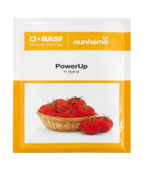 Nunhems Power up F1 Hybrid Tomato Seeds Size 3500 seeds