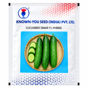 Known You Simar F1 Hybrid Cucumber Seeds – Premium Green Cucumber Variety for Commercial Vegetable Cultivation