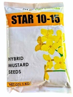 Star Agri Seed STAR-10-15 Hybrid Mustard Seeds – High Yield & Disease Resistance