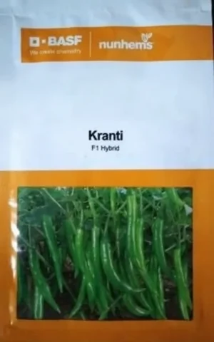 BASF Nunhems Kranti Chilli Seeds F1 Hybrid(1500seeds)