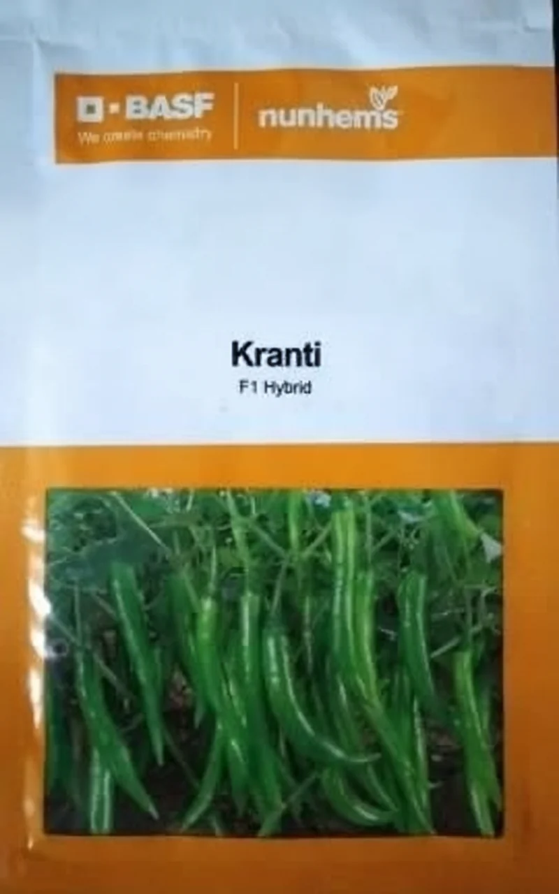 BASF Nunhems Kranti Chilli Seeds F1 Hybrid(1500seeds)