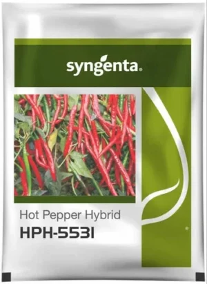 Syngenta HPH 5531 Chilli Seeds F1 Hybrid
