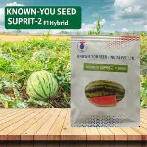 Buy Suprit-2 Watermelon