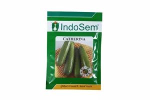 Indosem Catherina F1 Hybrid Squash Seeds – Premium Quality Seeds for Commercial Farming & Kitchen Gardening(10GM)