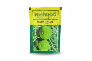 Mahyco MAHY Tinda F1 Hybrid Seeds – Premium Tinda Seeds for Commercial Farming & Kitchen Gardening(50GM)