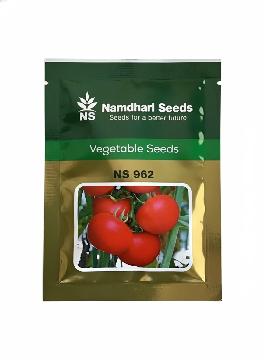 Namdhari NS 962 Tomato Seeds F1 Hybrid – High Yield Premium Red Tomato for Commercial Farming(3000SEEDS)
