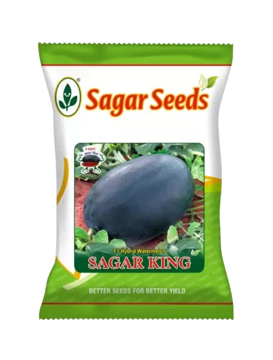 Sagar King F1 Hybrid Watermelon Seeds Online