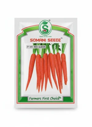 Somani Red Queen F1 Hybrid Carrot Seeds – High Yield Red Carrot Seeds for Farming (250GM)